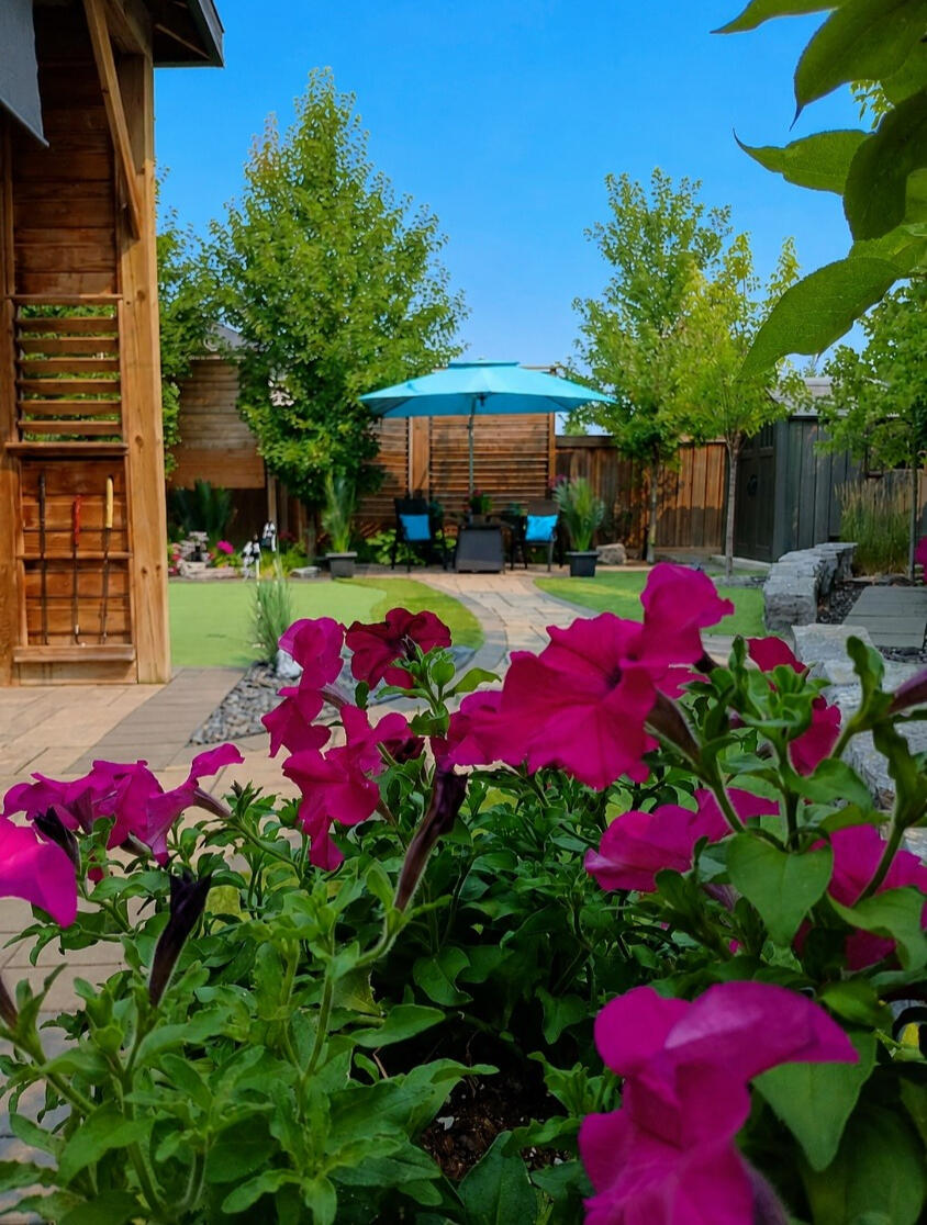 Very Private - Resort Style Backyard